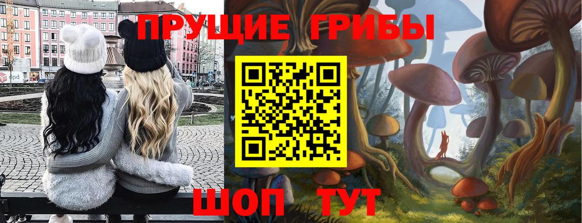 Псилоцибиновые грибы Cubensis  Вход с VPN  Ярцево 